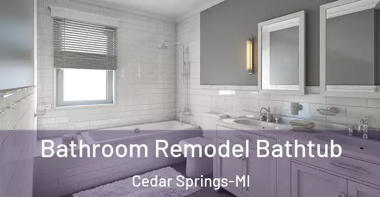 inner Bathroom imggen Bathroom Remodel Bathtub Cedar Springs-MI