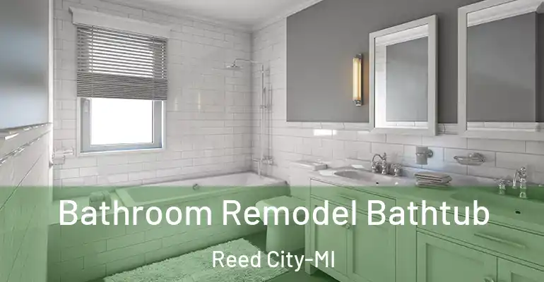 inner Bathroom imggen Bathroom Remodel Bathtub Reed City-MI