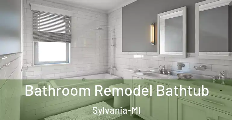 inner Bathroom imggen Bathroom Remodel Bathtub Sylvania-MI