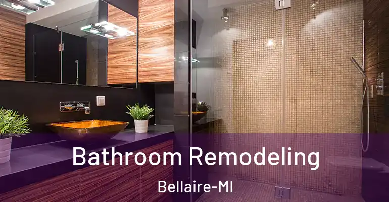 inner Bathroom imggen Bathroom Remodeling Bellaire-MI