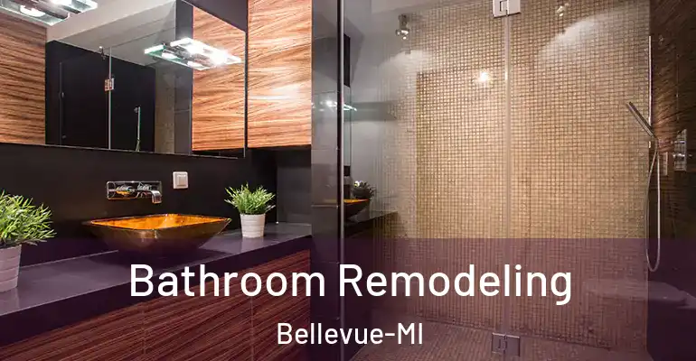 inner Bathroom imggen Bathroom Remodeling Bellevue-MI