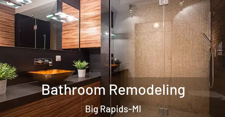 inner Bathroom imggen Bathroom Remodeling Big Rapids-MI