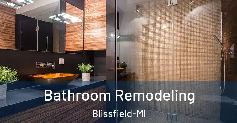 inner Bathroom imggen Bathroom Remodeling Blissfield-MI