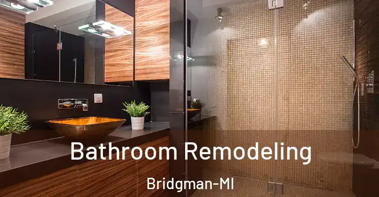 inner Bathroom imggen Bathroom Remodeling Bridgman-MI