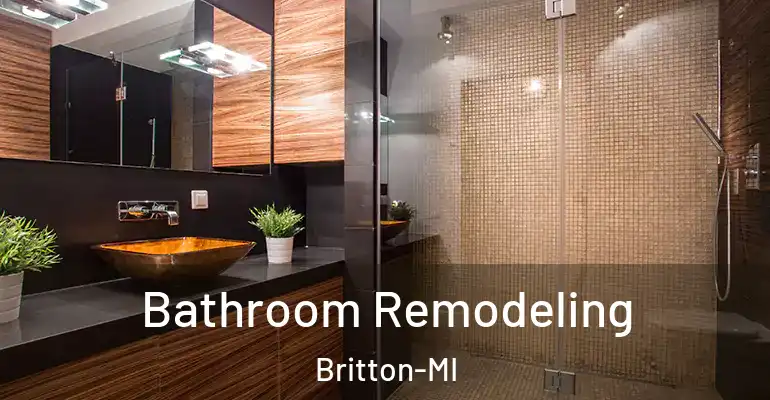 inner Bathroom imggen Bathroom Remodeling Britton-MI