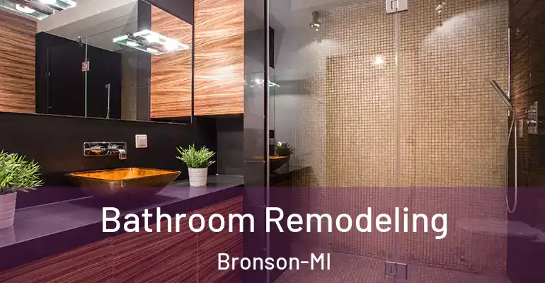 inner Bathroom imggen Bathroom Remodeling Bronson-MI