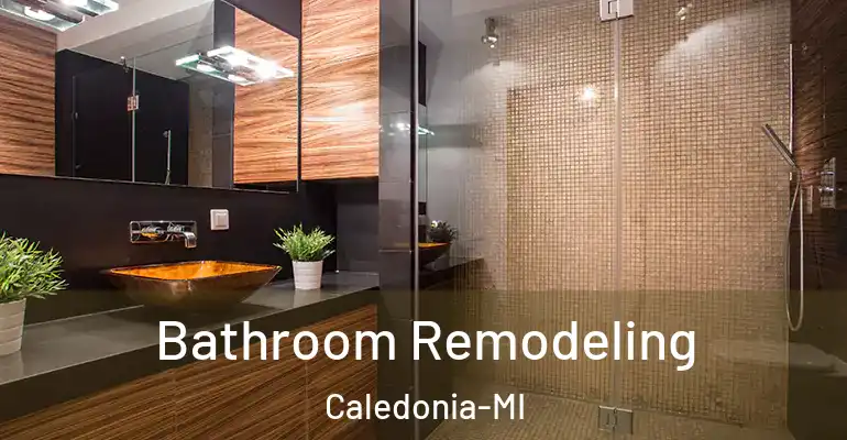inner Bathroom imggen Bathroom Remodeling Caledonia-MI