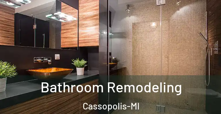 inner Bathroom imggen Bathroom Remodeling Cassopolis-MI