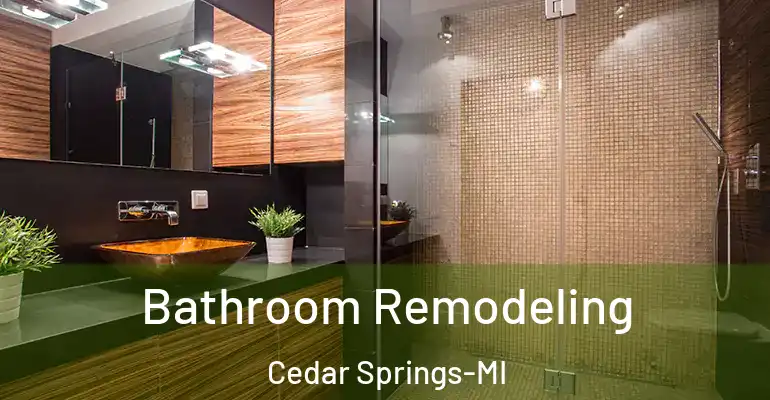 inner Bathroom imggen Bathroom Remodeling Cedar Springs-MI
