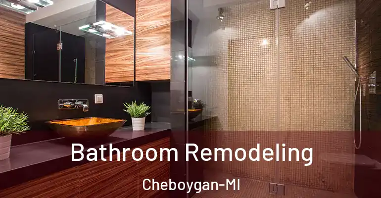 inner Bathroom imggen Bathroom Remodeling Cheboygan-MI