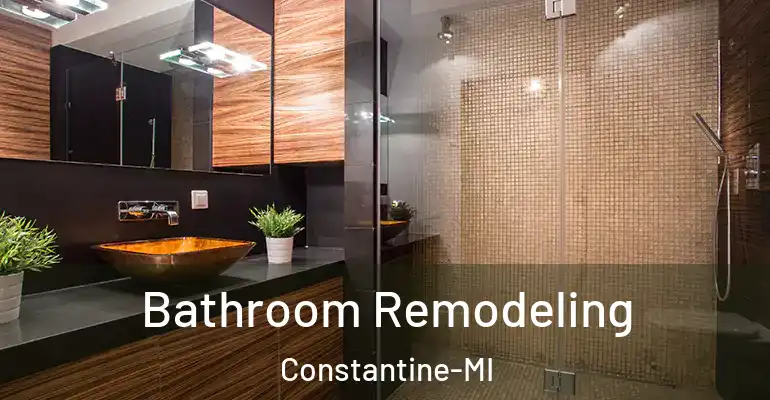 inner Bathroom imggen Bathroom Remodeling Constantine-MI