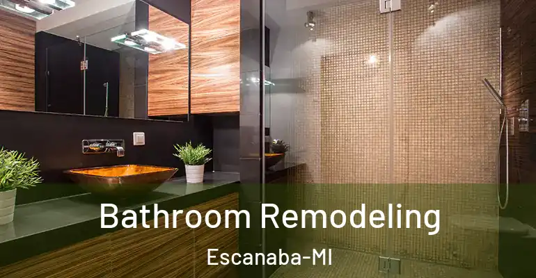inner Bathroom imggen Bathroom Remodeling Escanaba-MI