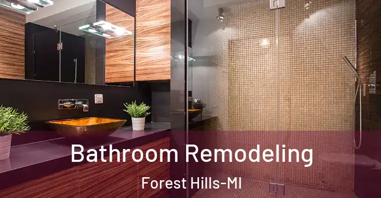 inner Bathroom imggen Bathroom Remodeling Forest Hills-MI