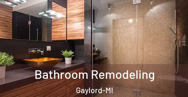 inner Bathroom imggen Bathroom Remodeling Gaylord-MI