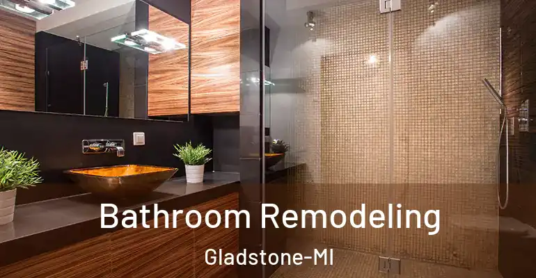 inner Bathroom imggen Bathroom Remodeling Gladstone-MI