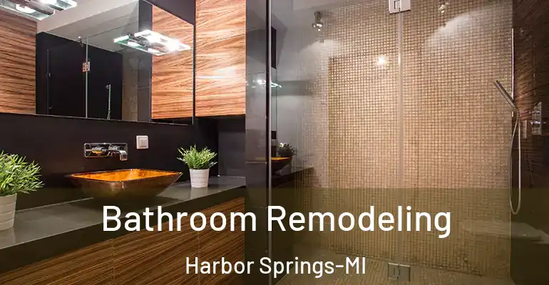 inner Bathroom imggen Bathroom Remodeling Harbor Springs-MI