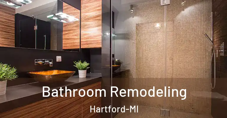 inner Bathroom imggen Bathroom Remodeling Hartford-MI