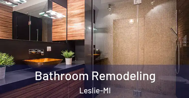 inner Bathroom imggen Bathroom Remodeling Leslie-MI