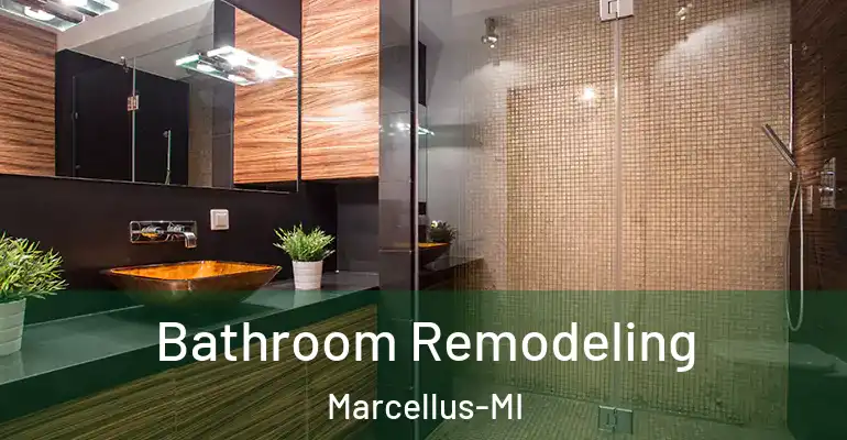 inner Bathroom imggen Bathroom Remodeling Marcellus-MI