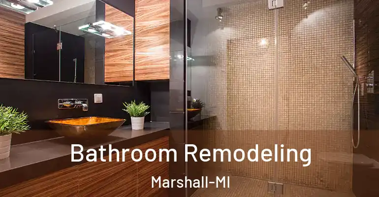 inner Bathroom imggen Bathroom Remodeling Marshall-MI
