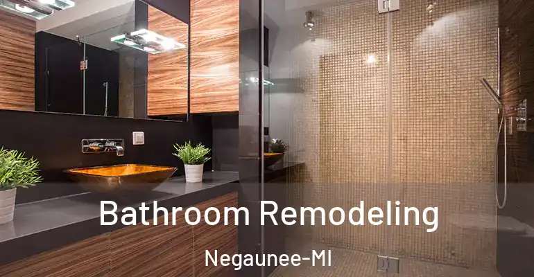 inner Bathroom imggen Bathroom Remodeling Negaunee-MI