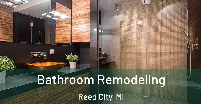 inner Bathroom imggen Bathroom Remodeling Reed City-MI