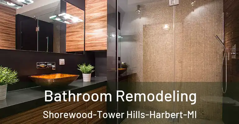 inner Bathroom imggen Bathroom Remodeling Shorewood-Tower Hills-Harbert-MI