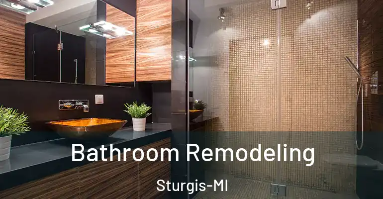 inner Bathroom imggen Bathroom Remodeling Sturgis-MI