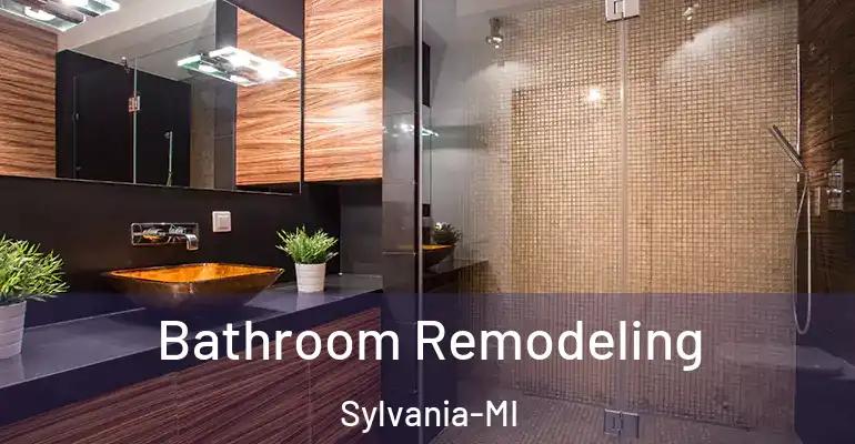 inner Bathroom imggen Bathroom Remodeling Sylvania-MI