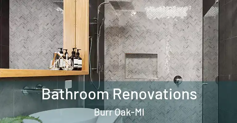 inner Bathroom imggen Bathroom Renovations Burr Oak-MI