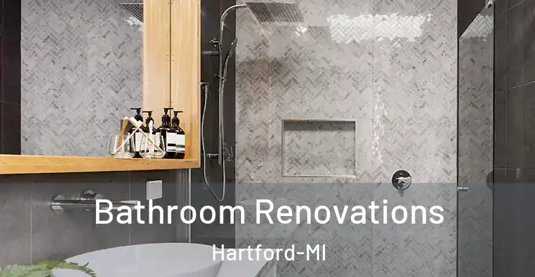 inner Bathroom imggen Bathroom Renovations Hartford-MI