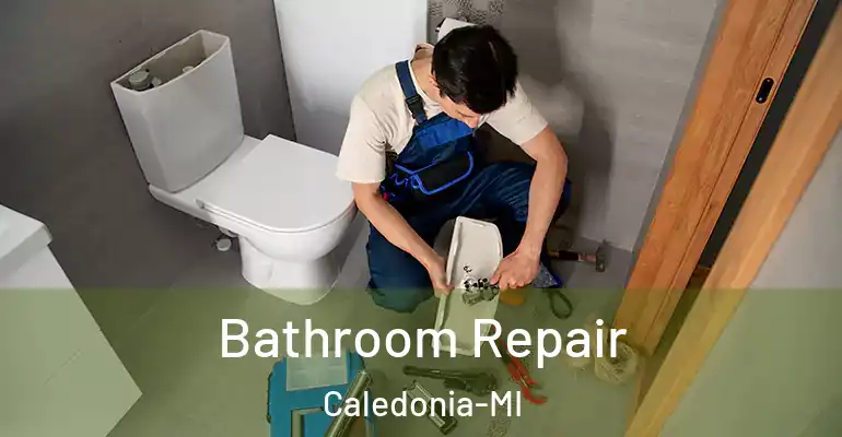 inner Bathroom imggen Bathroom Repair Caledonia-MI