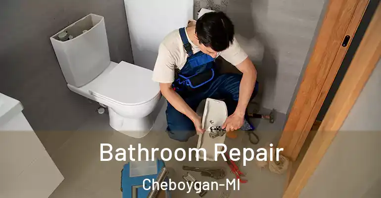 inner Bathroom imggen Bathroom Repair Cheboygan-MI