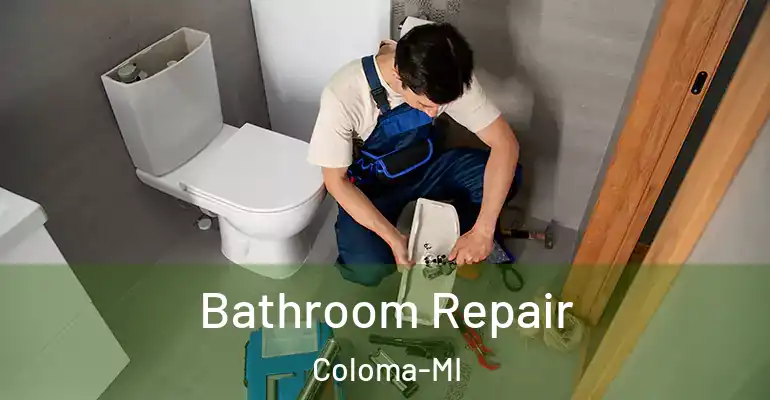 inner Bathroom imggen Bathroom Repair Coloma-MI