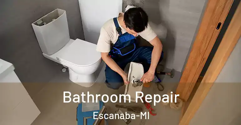 inner Bathroom imggen Bathroom Repair Escanaba-MI