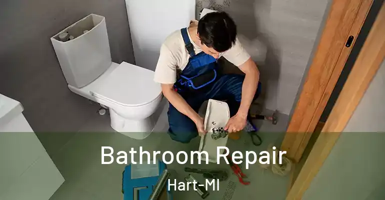 inner Bathroom imggen Bathroom Repair Hart-MI
