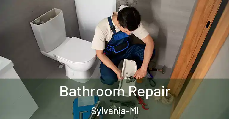 inner Bathroom imggen Bathroom Repair Sylvania-MI