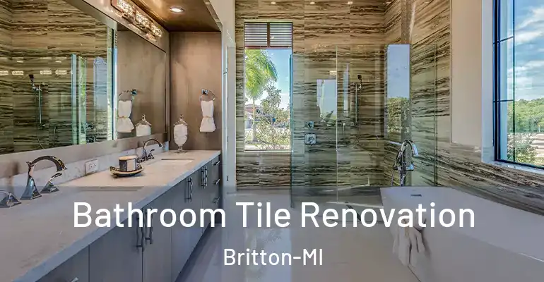 inner Bathroom imggen Bathroom Tile Renovation Britton-MI
