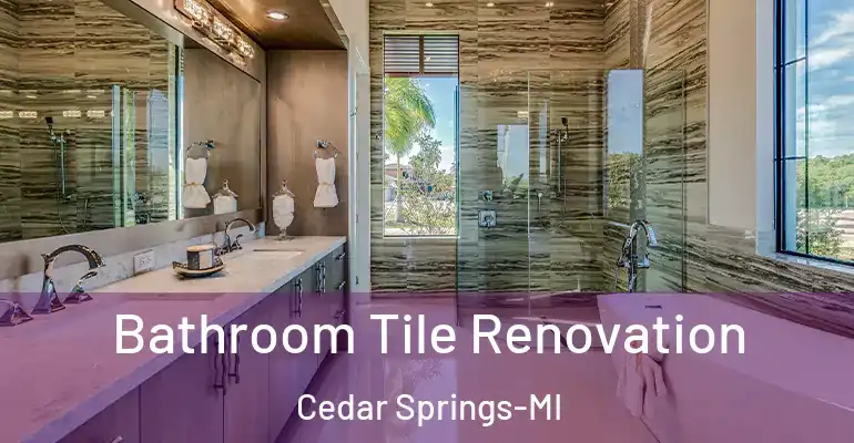 inner Bathroom imggen Bathroom Tile Renovation Cedar Springs-MI