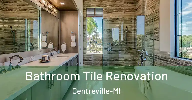 inner Bathroom imggen Bathroom Tile Renovation Centreville-MI