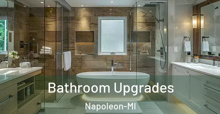 inner Bathroom imggen Bathroom Upgrades Napoleon-MI
