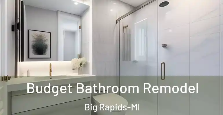 inner Bathroom imggen Budget Bathroom Remodel Big Rapids-MI