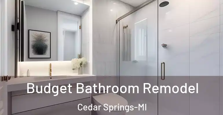inner Bathroom imggen Budget Bathroom Remodel Cedar Springs-MI