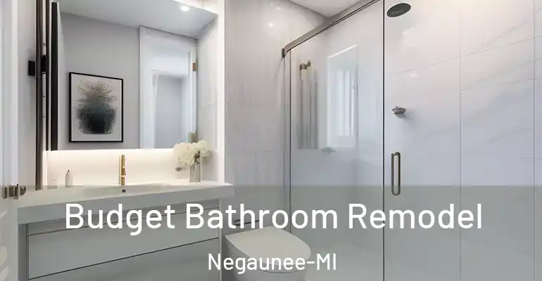 inner Bathroom imggen Budget Bathroom Remodel Negaunee-MI