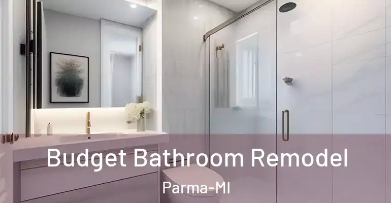 inner Bathroom imggen Budget Bathroom Remodel Parma-MI