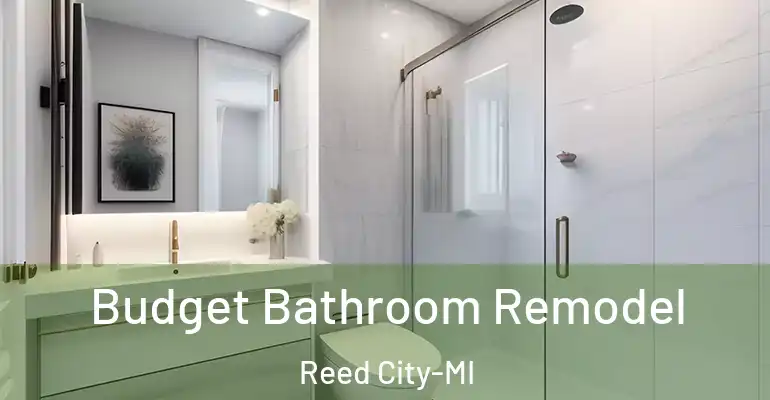 inner Bathroom imggen Budget Bathroom Remodel Reed City-MI
