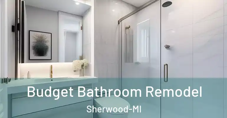 inner Bathroom imggen Budget Bathroom Remodel Sherwood-MI