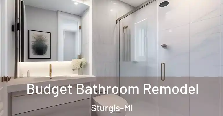 inner Bathroom imggen Budget Bathroom Remodel Sturgis-MI