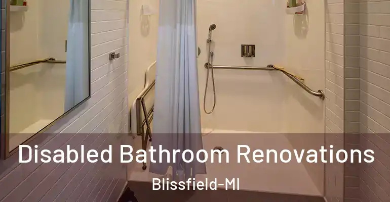 inner Bathroom imggen Disabled Bathroom Renovations Blissfield-MI