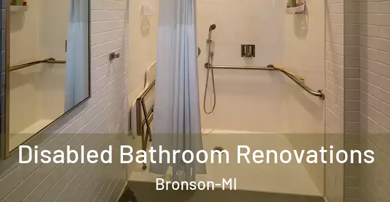 inner Bathroom imggen Disabled Bathroom Renovations Bronson-MI